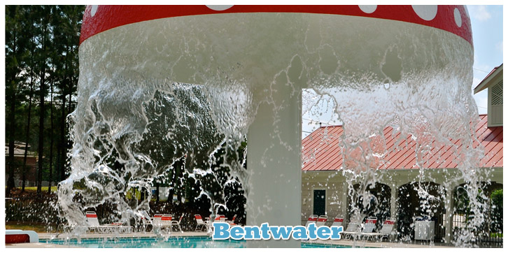 Bentwater Community Association - Hompage Image 4